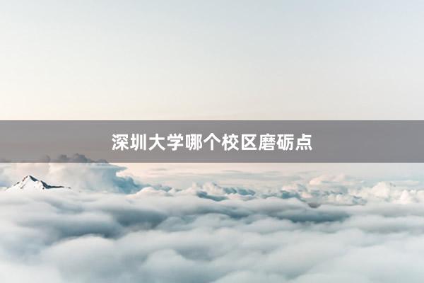 深圳大学哪个校区磨砺点