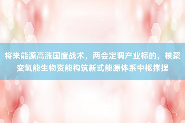 将来能源高涨国度战术，两会定调产业标的，核聚变氢能生物资能构筑新式能源体系中枢撑捏