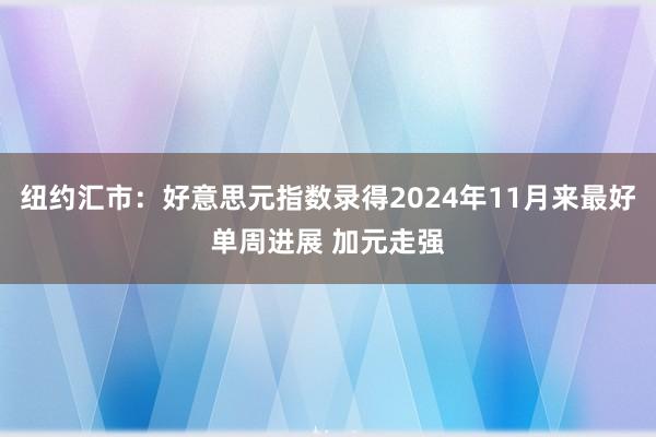纽约汇市:好意思元指数录得2024年11月来最好单周进展 加元走强