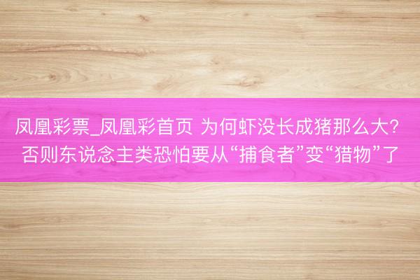 凤凰彩票_凤凰彩首页 为何虾没长成猪那么大? 否则东说念主类恐怕要从“捕食者”变“猎物”了