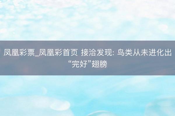凤凰彩票_凤凰彩首页 接洽发现: 鸟类从未进化出“完好”翅膀