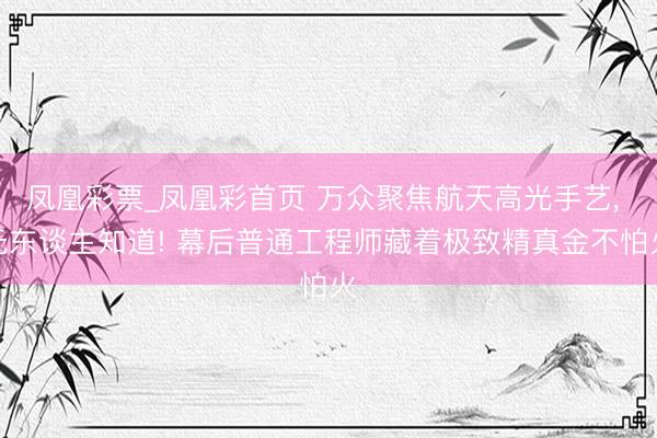 凤凰彩票_凤凰彩首页 万众聚焦航天高光手艺， 无东谈主知道! 幕后普通工程师藏着极致精真金不怕火