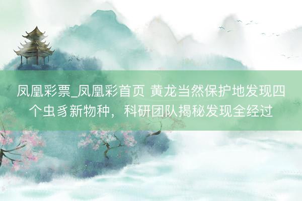 凤凰彩票_凤凰彩首页 黄龙当然保护地发现四个虫豸新物种，科研团队揭秘发现全经过