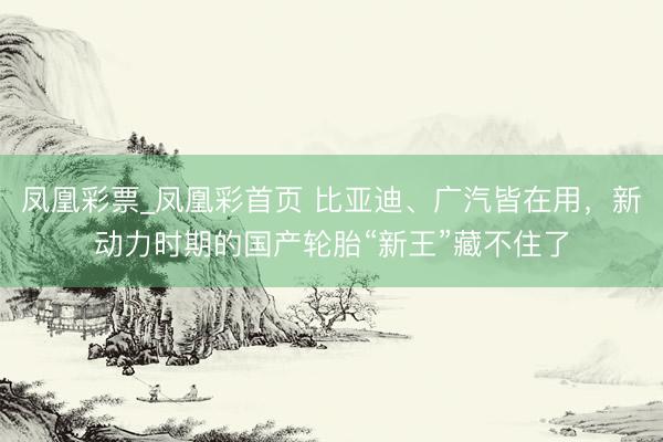 凤凰彩票_凤凰彩首页 比亚迪、广汽皆在用，新动力时期的国产轮胎“新王”藏不住了