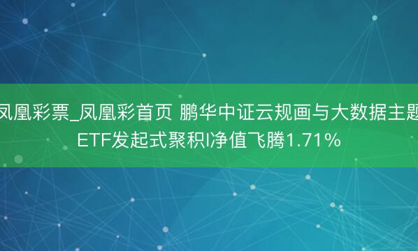 凤凰彩票_凤凰彩首页 鹏华中证云规画与大数据主题ETF发起式聚积I净值飞腾1.71%