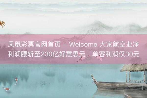 凤凰彩票官网首页 - Welcome 大家航空业净利润腰斩至230亿好意思元，单客利润仅30元