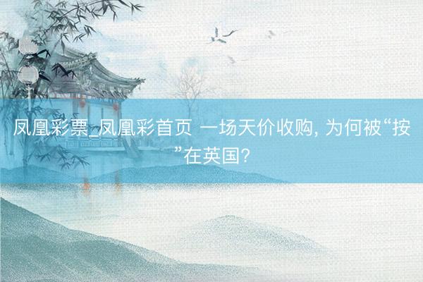 凤凰彩票_凤凰彩首页 一场天价收购， 为何被“按”在英国?