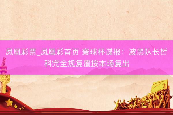 凤凰彩票_凤凰彩首页 寰球杯谍报：波黑队长哲科完全规复覆按本场复出